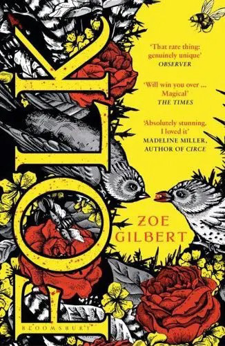 A red, yellow and ink drawn cover for novel Folk, featuring birds, plants, flowers and even a bumblebee. Very evocative design.