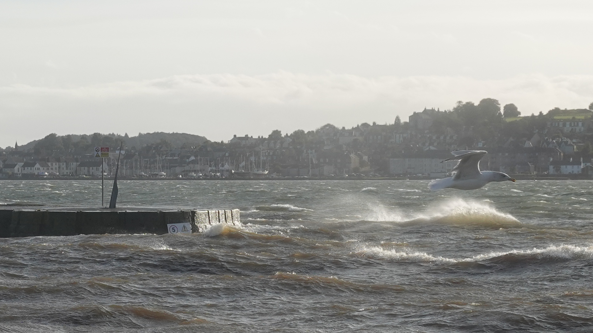 Looking across a wild river/sea estuary. There is a small outcrop of land in the middle left, and in the background is more land on the other side of the big  river. The sea is wild, and a white seagull skims across in the air from left to right, its wings spread wide, and it outlined against the sea and land beyond.