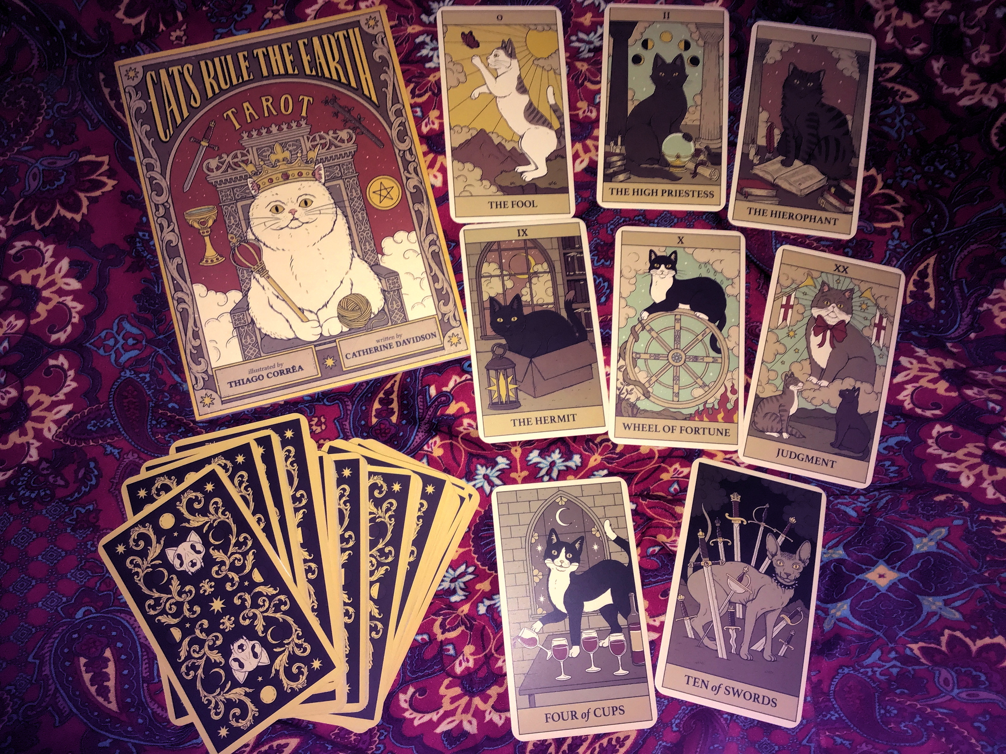 Examples of the cards in the "Cats Rule the Earth" tarot deck
